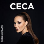 Gallery Tickets - CECA - Svetlana Raznatovic
