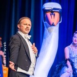 Mein lieber Schwan