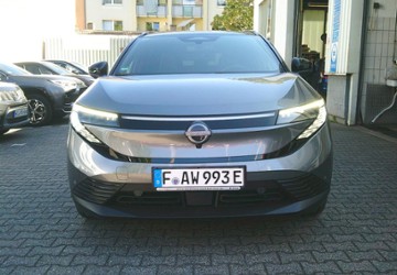Nissan Leaf 1.001 km 42.990 &euro; Frankfurt 60486